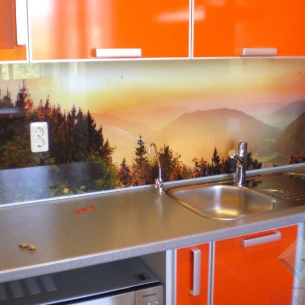 Декоративный фартук на кухню из закаленного стекла с УФ-печатью ФС-9704